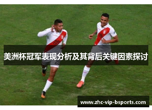 美洲杯冠军表现分析及其背后关键因素探讨