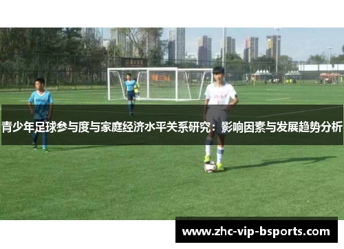 青少年足球参与度与家庭经济水平关系研究:影响因素与发展趋势分析 青少年足球参与度与家庭经济水平关系研究:影响因素与发展趋势分析