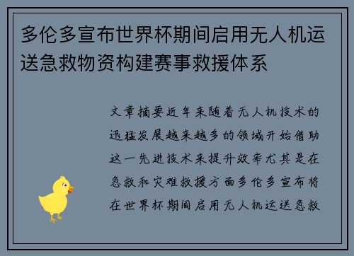 多伦多宣布世界杯期间启用无人机运送急救物资构建赛事救援体系